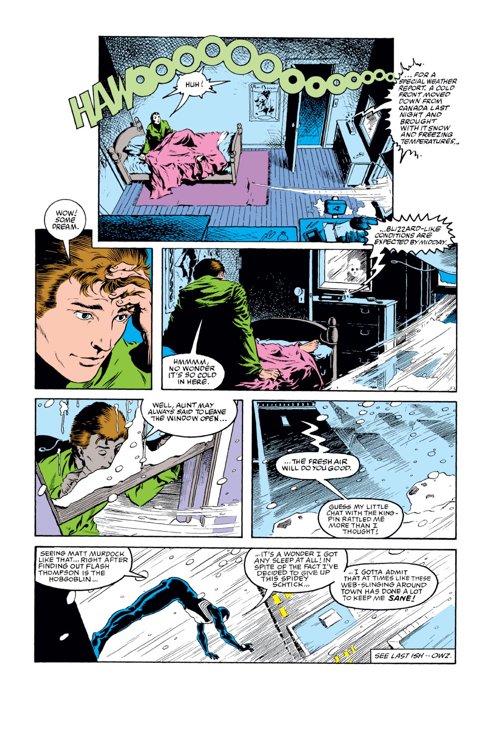 Read The Amazing Spider-Man (1963) Manga Online