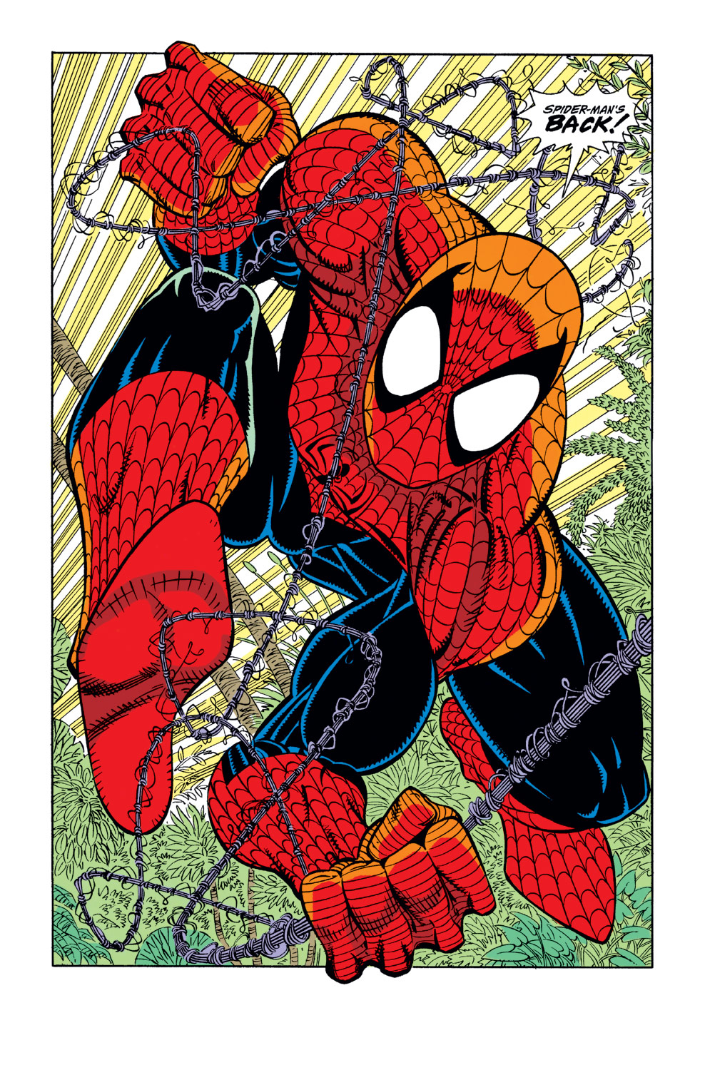Read The Amazing Spider-Man (1963) Manga Online