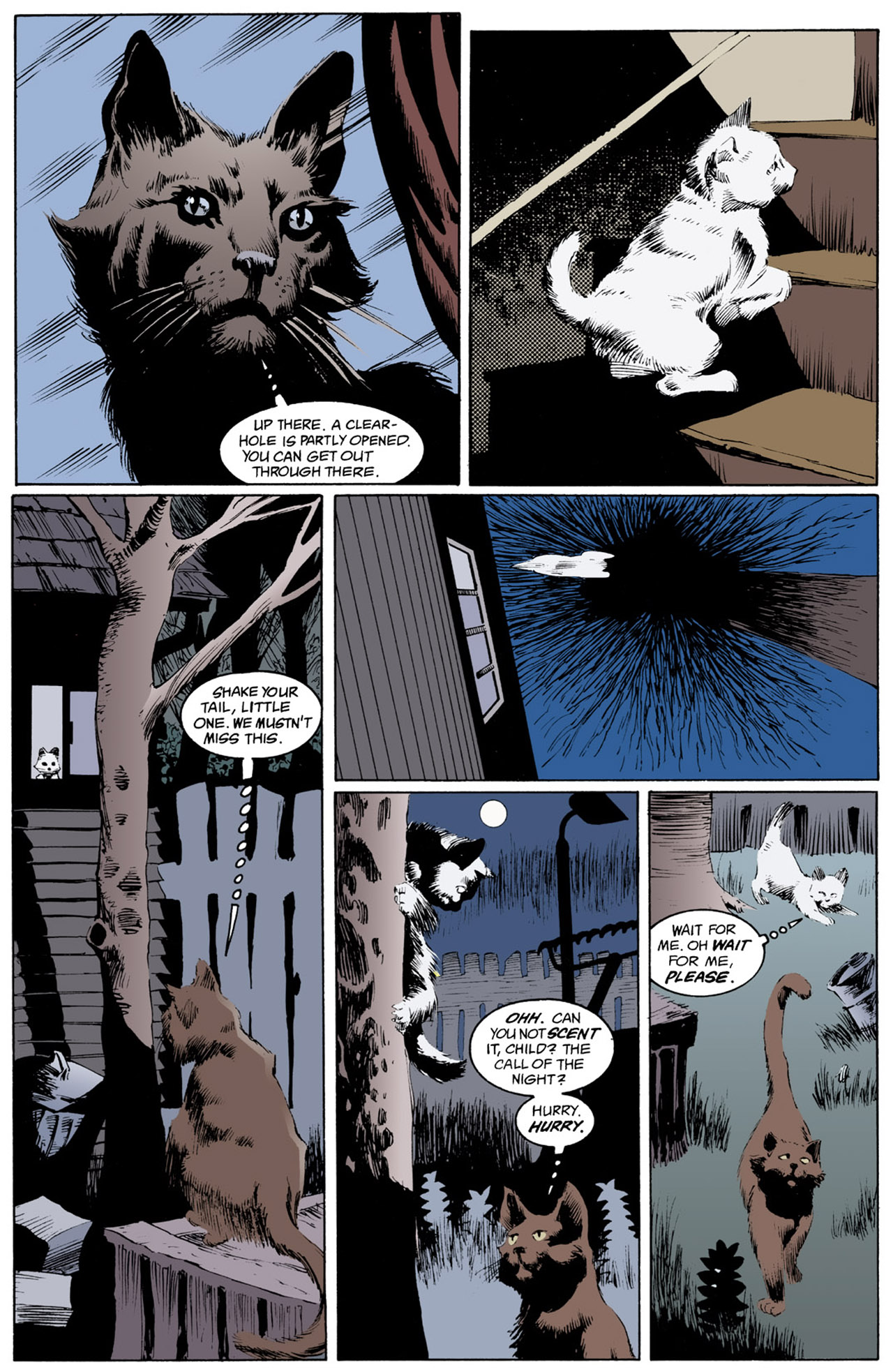 Read The Sandman (1989) Manga Online