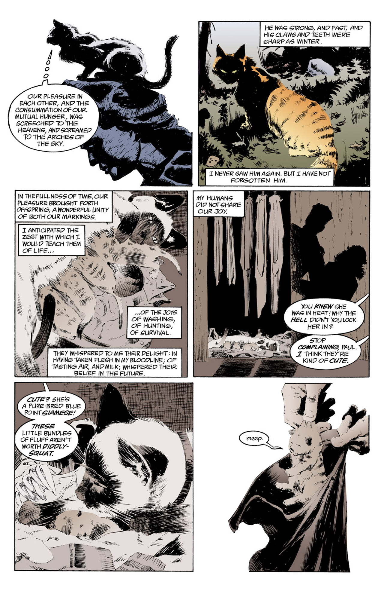 Read The Sandman (1989) Manga Online