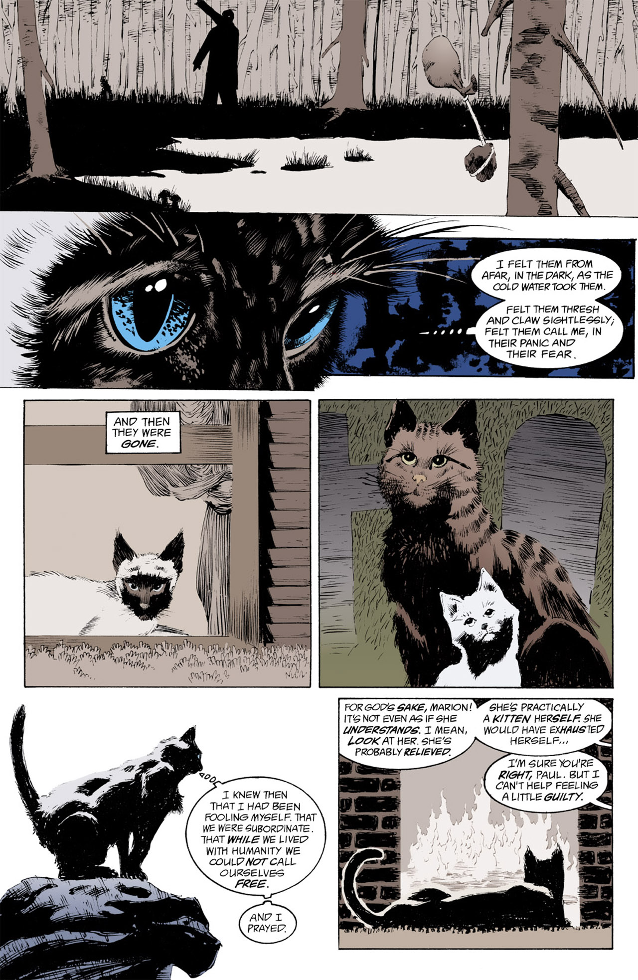 Read The Sandman (1989) Manga Online