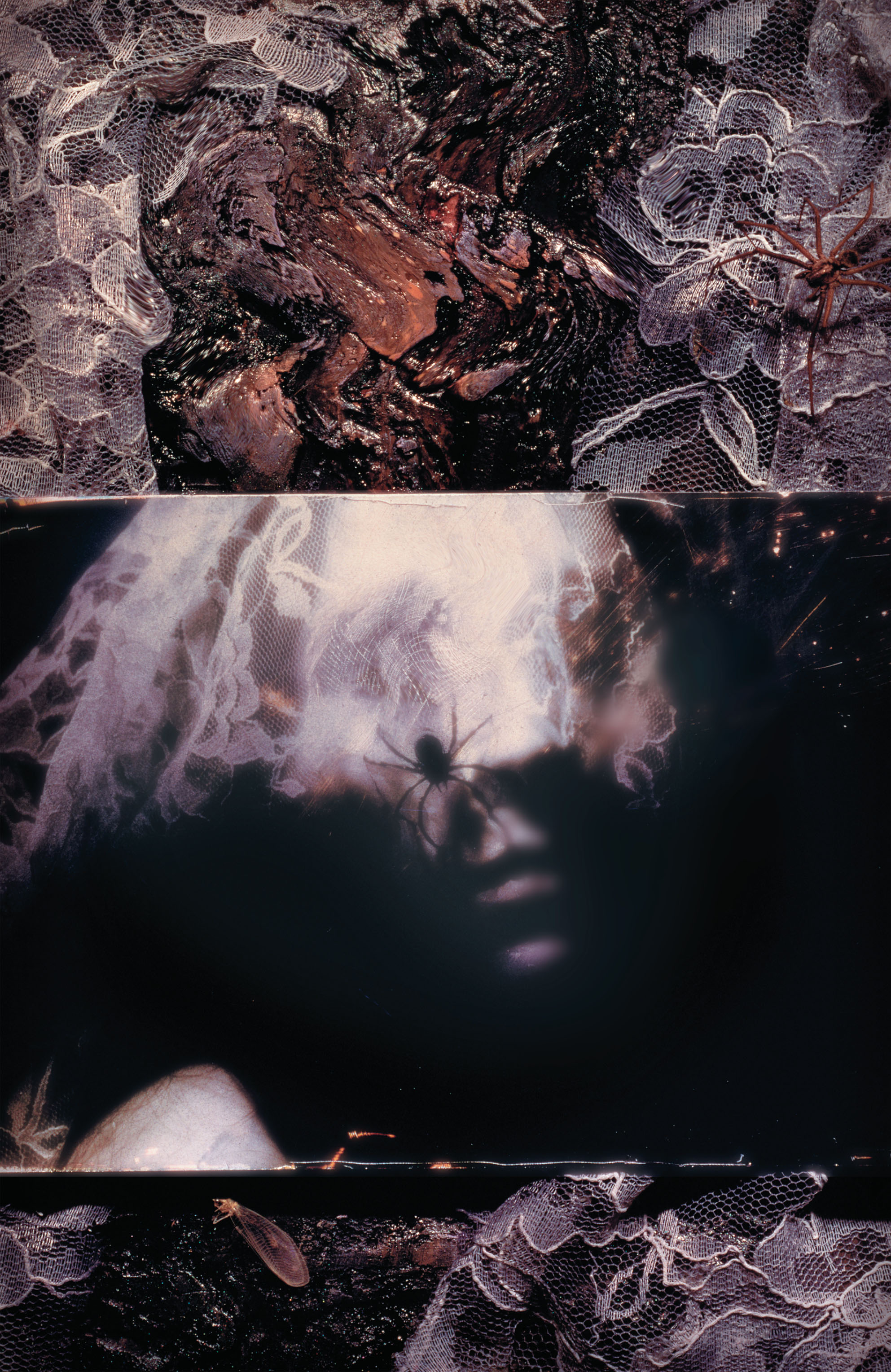 Read The Sandman (1989) Manga Online