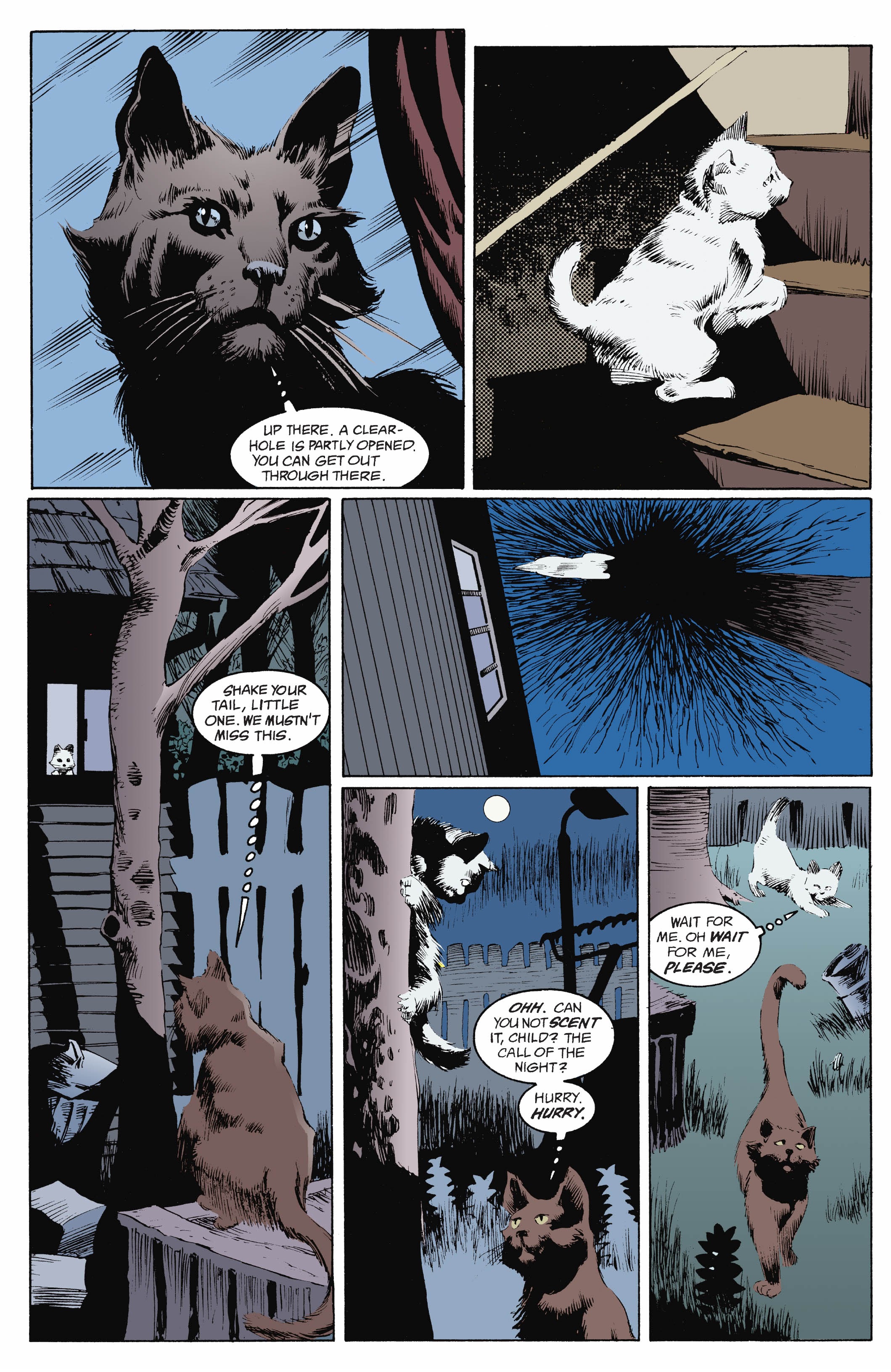 Read The Sandman (1989) Manga Online