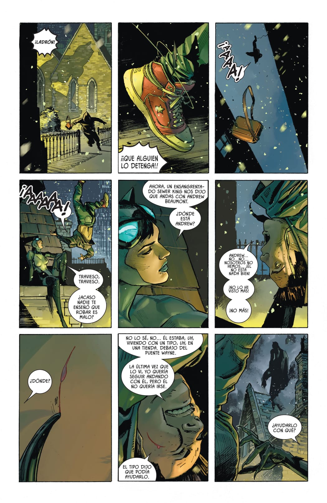 Read Batman Catwoman (2020) Manga Online