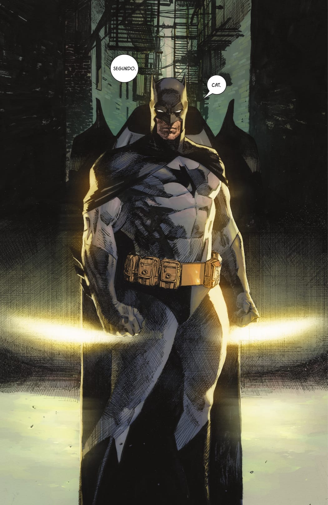 Read Batman Catwoman (2020) Manga Online