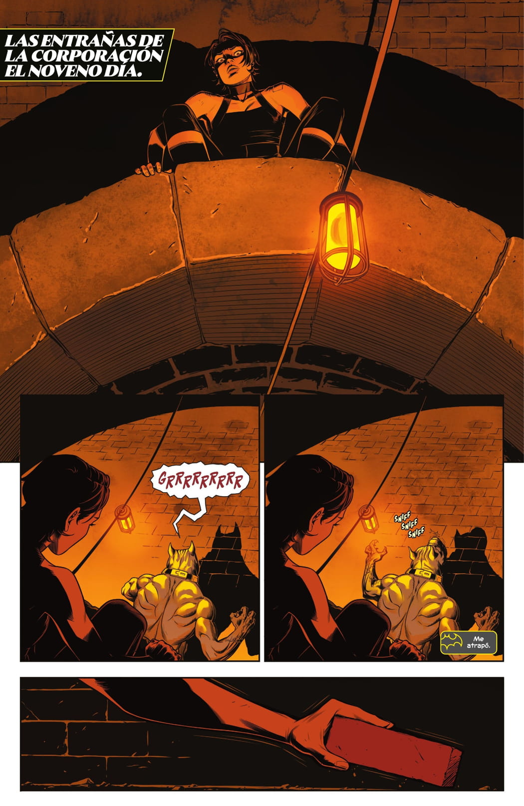 Read Birds of Prey (2023) Manga Online