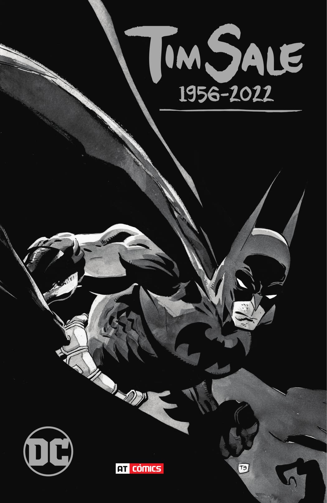 Read Dark Crisis on Infinite Earths (2022) Manga Online