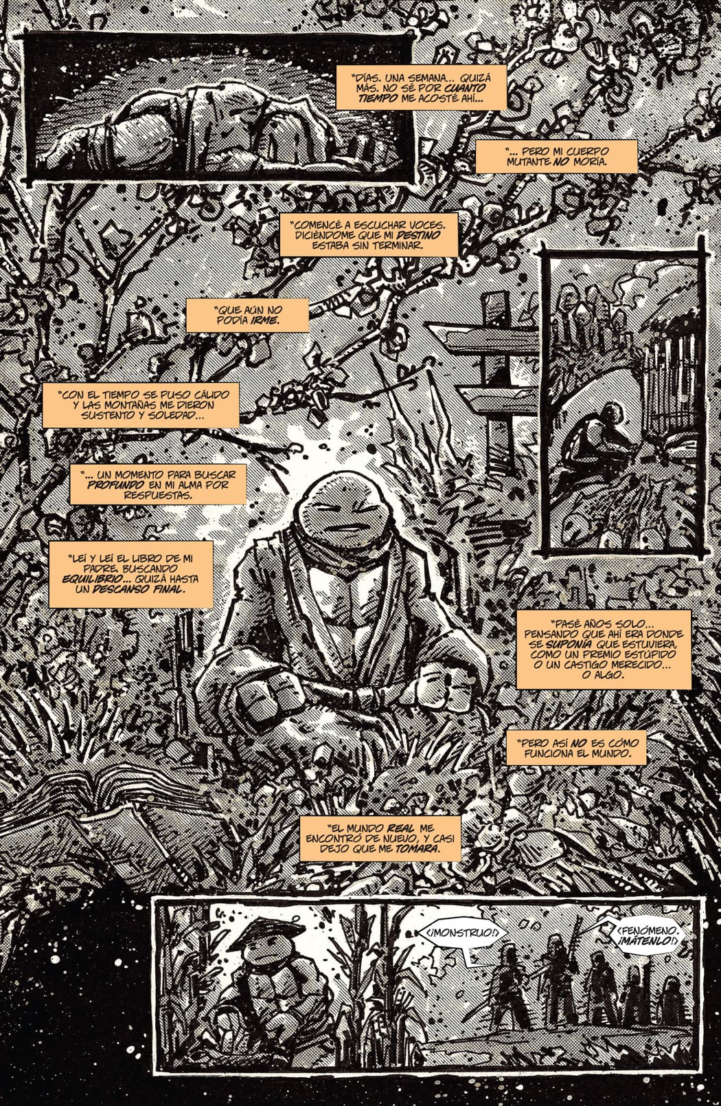 Read TMNT_ The Last Ronin (2020) Manga Online