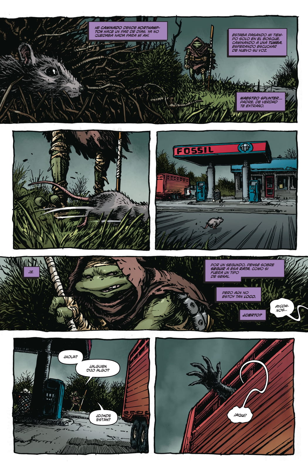 Read Teenage Mutant Ninja Turtles (2024) Manga Online