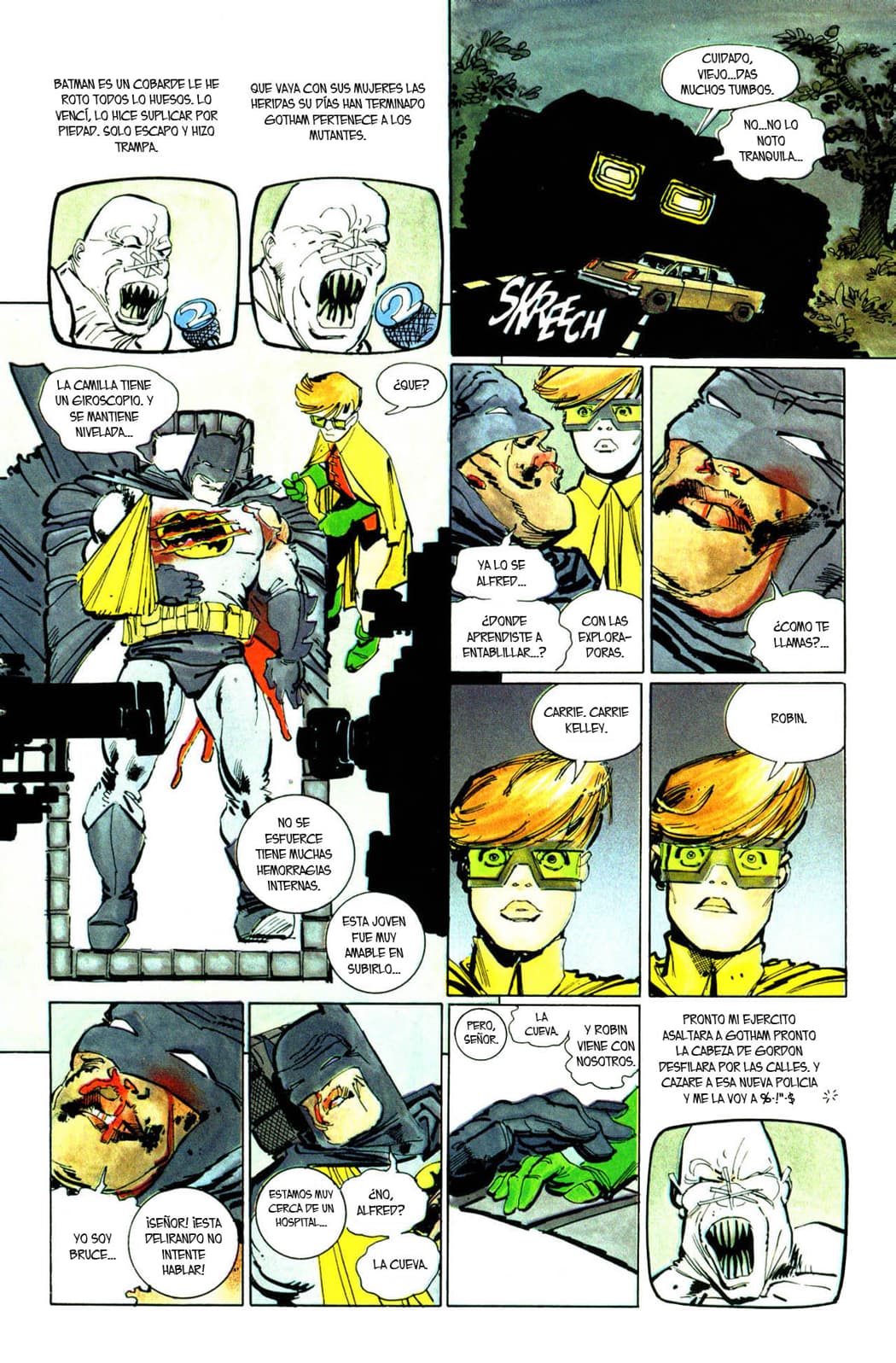 Read The Dark Knight Returns – Tenth Anniversary Edition- (1996) Manga Online