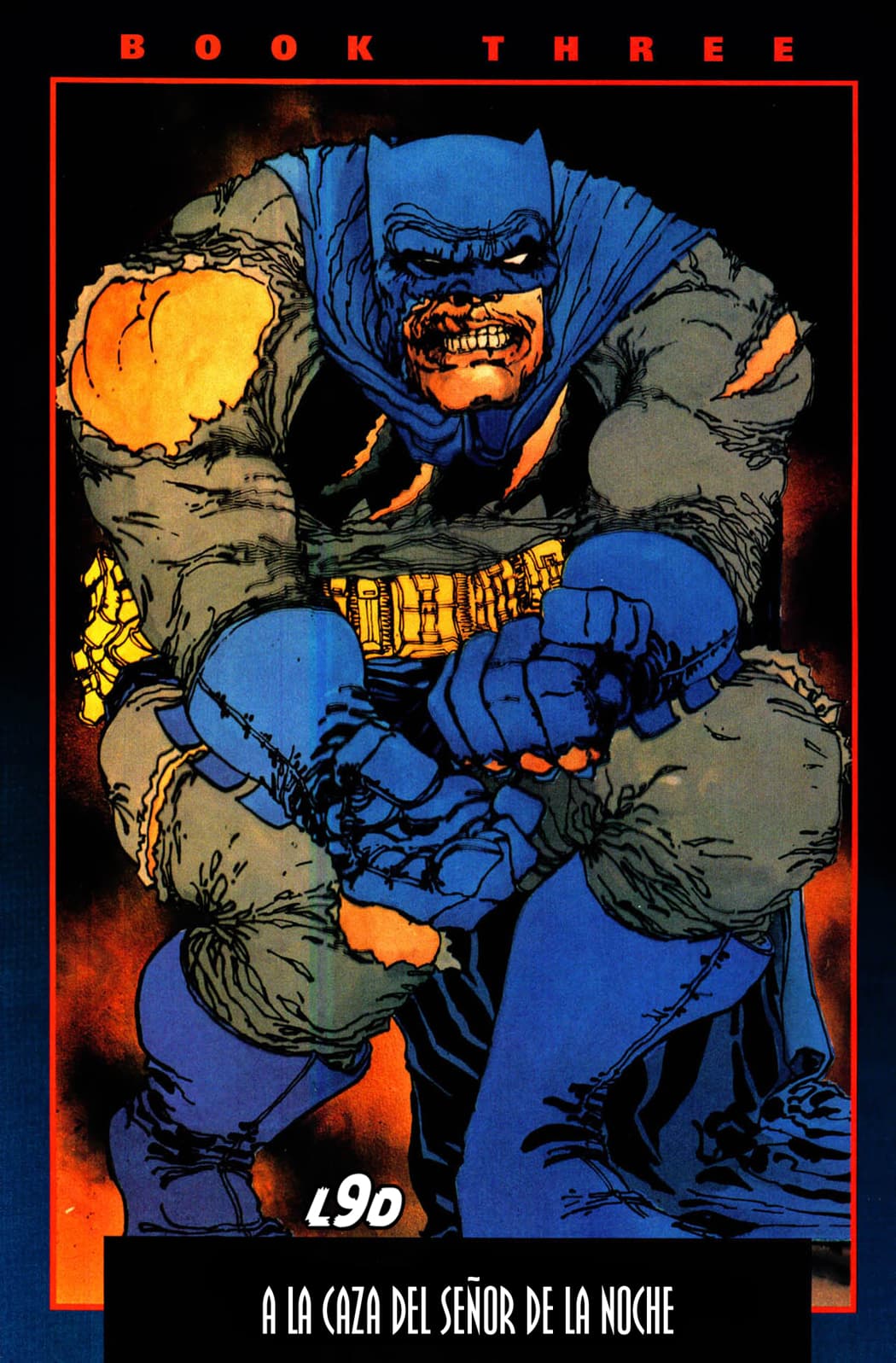 Read The Dark Knight Returns – Tenth Anniversary Edition- (1996) Manga Online