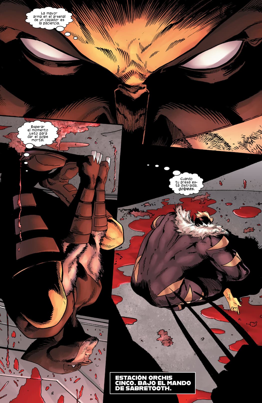 Read Wolverine (2020) Manga Online