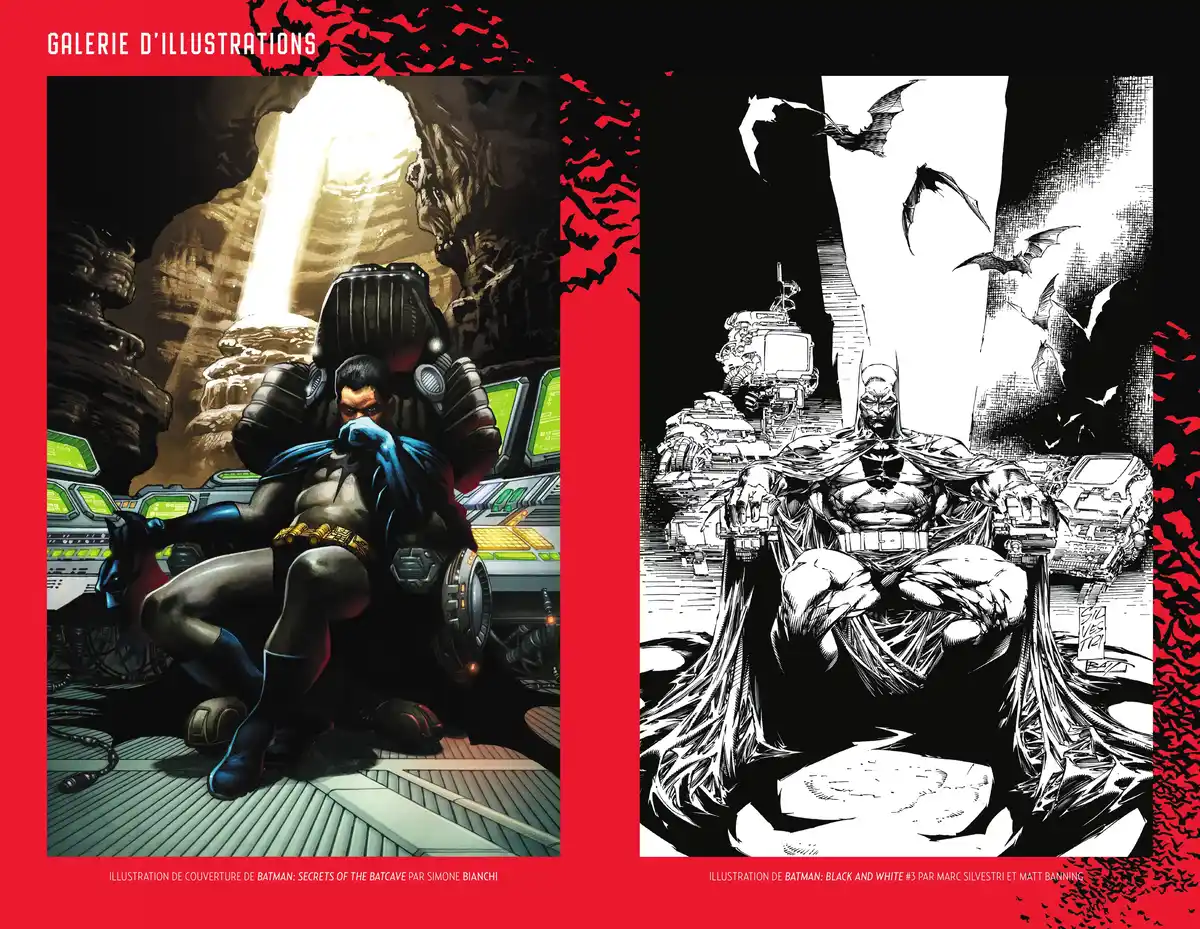 Read Batman Mythology Manga Online