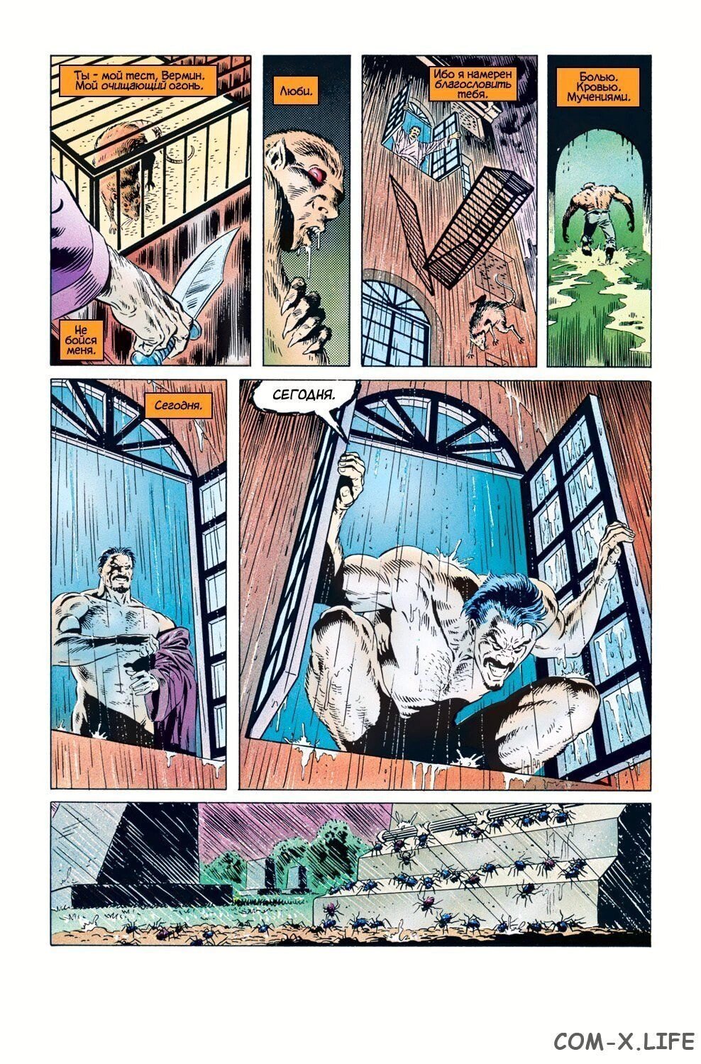 Read Питер Паркер, Невероятный Человек-паук Manga Online