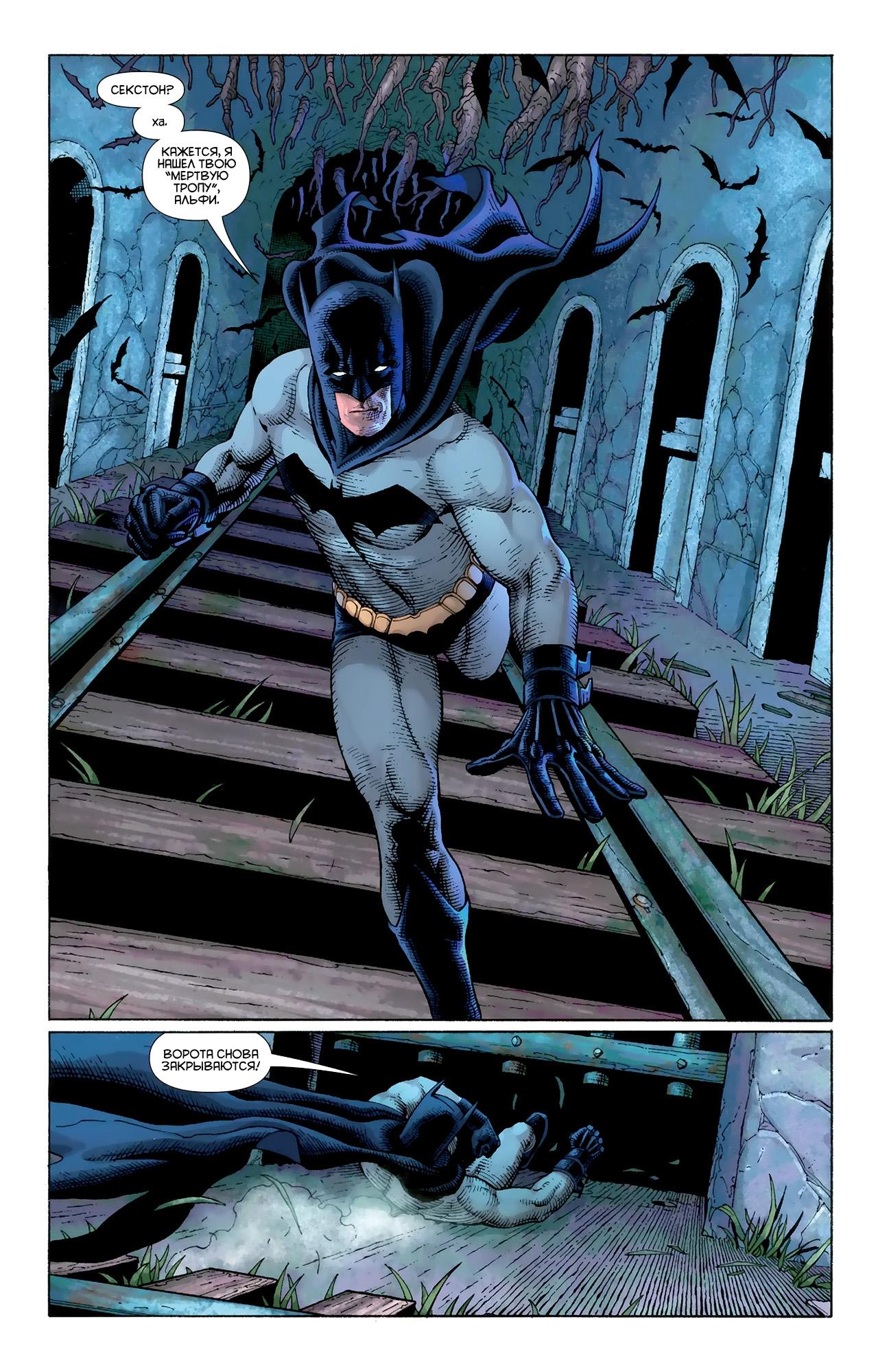 Read Batman and Robin Бэтмен и Робин Manga Online