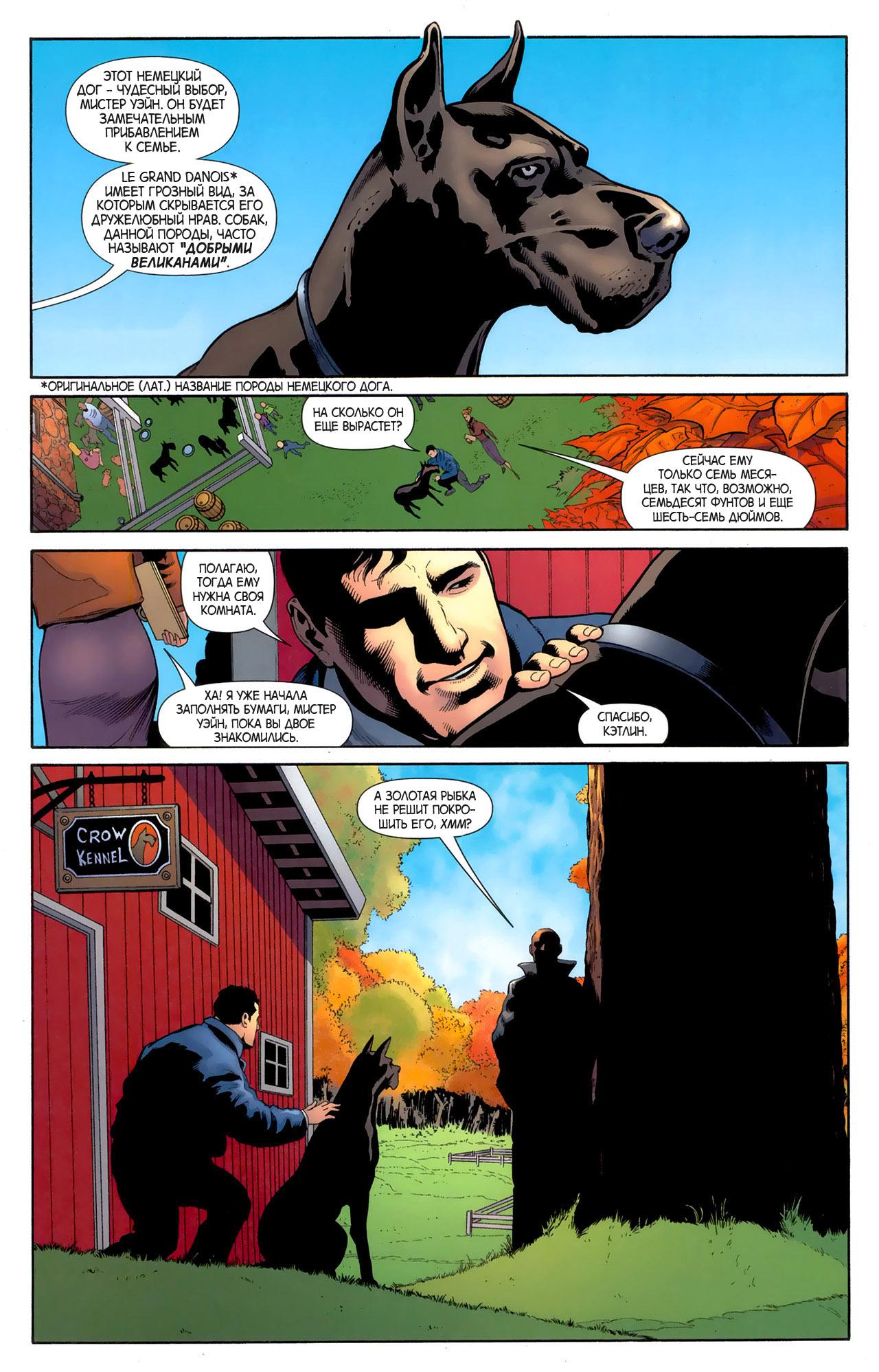 Read Batman and Robin Бэтмен и Робин Manga Online