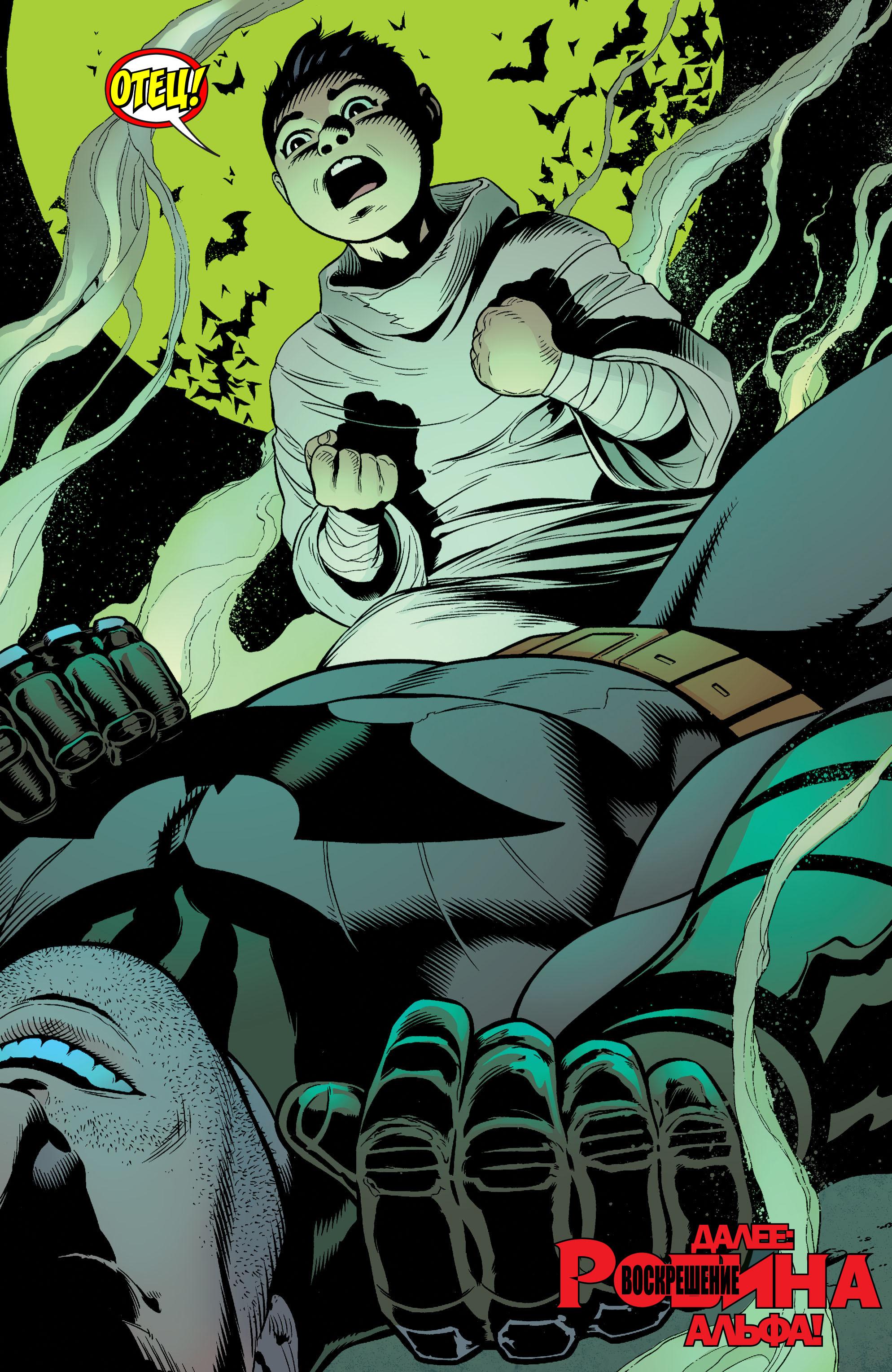 Read Batman and Robin Бэтмен и Робин Manga Online