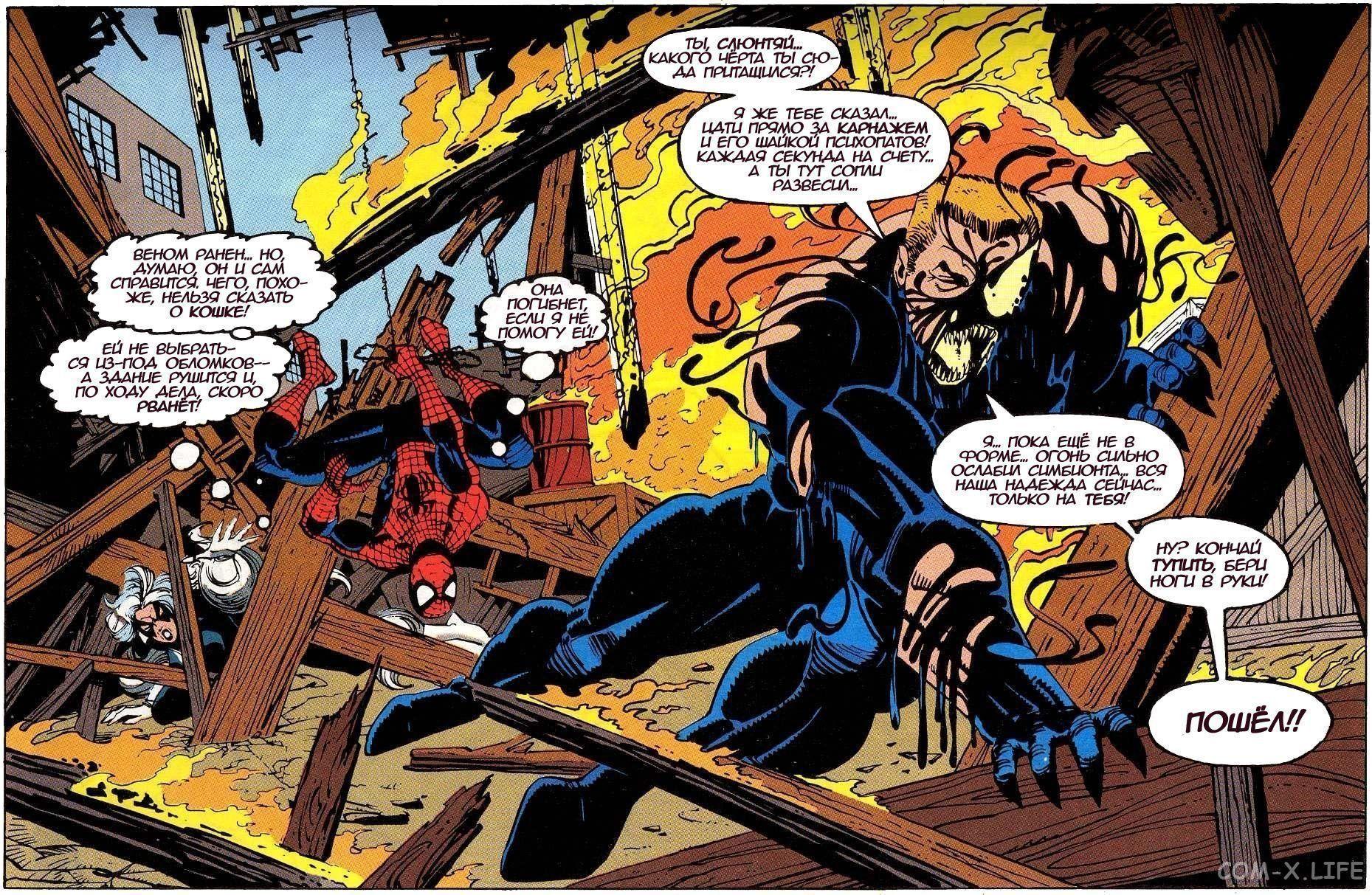 Read Web of Spider-Man Паутина человека-паука Manga Online