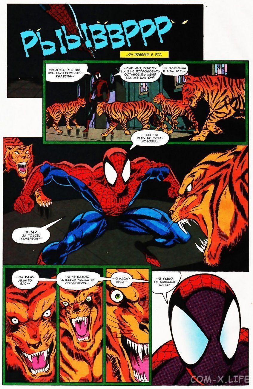 Read Web of Spider-Man Паутина человека-паука Manga Online
