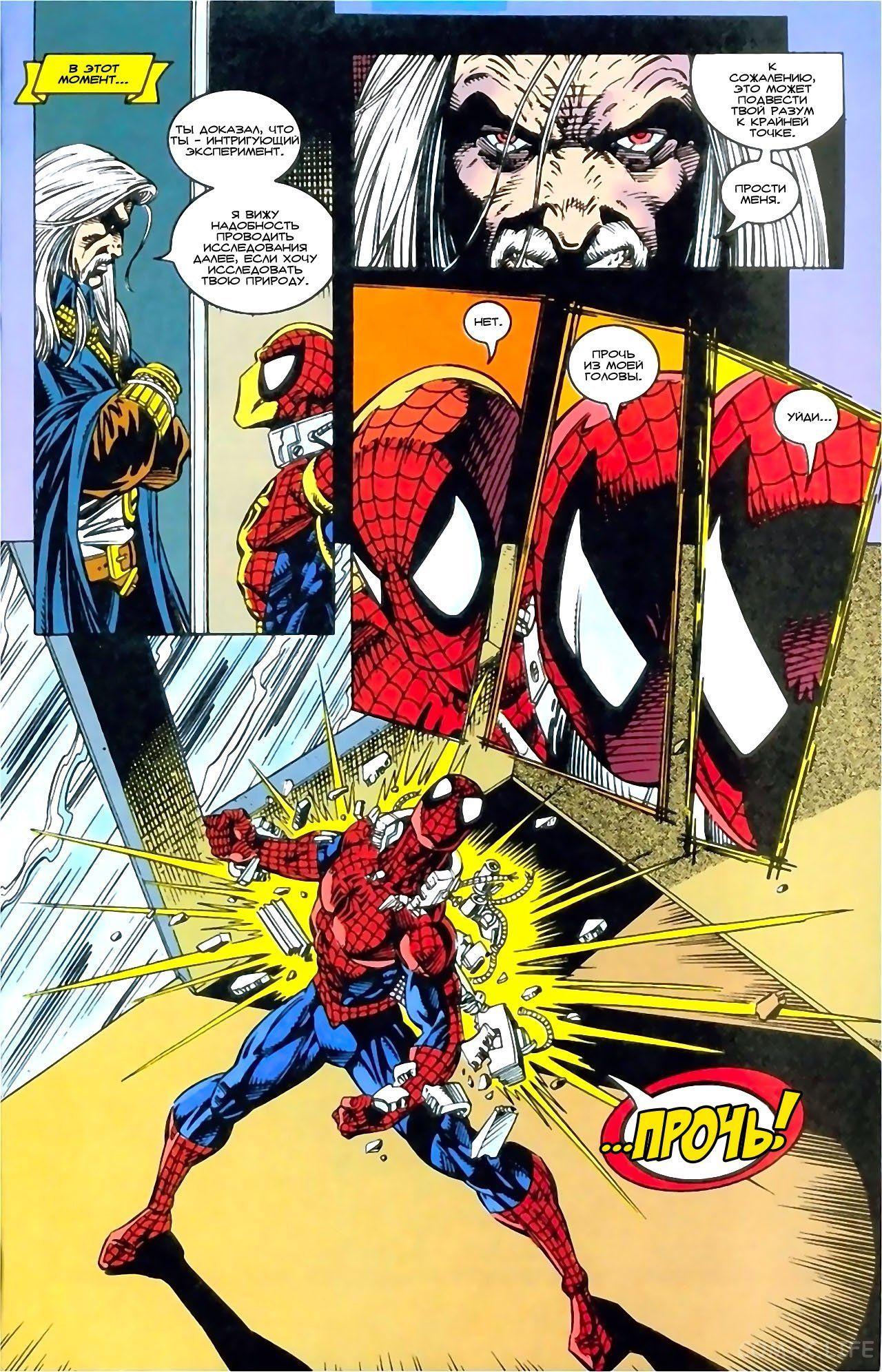 Read Web of Spider-Man Паутина человека-паука Manga Online