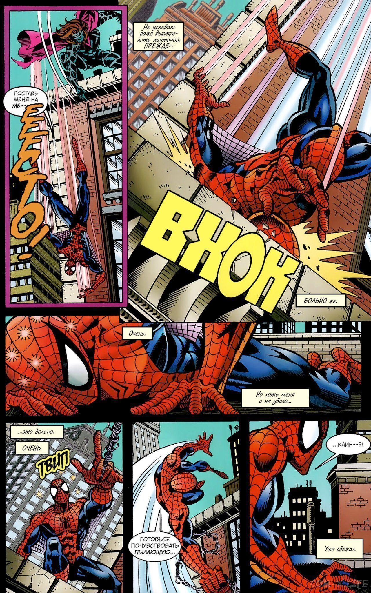 Read Web of Spider-Man Паутина человека-паука Manga Online