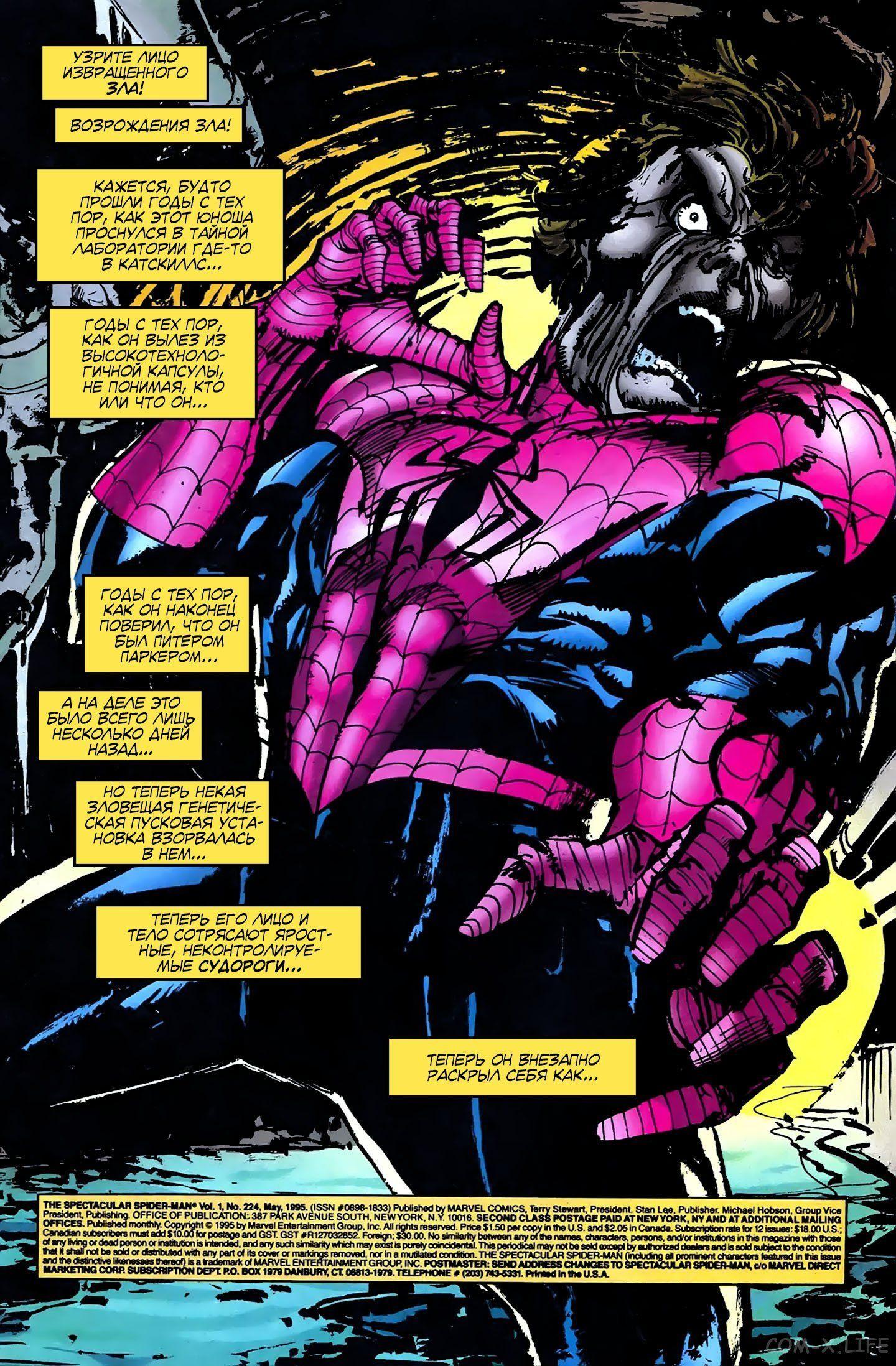 Read Web of Spider-Man Паутина человека-паука Manga Online