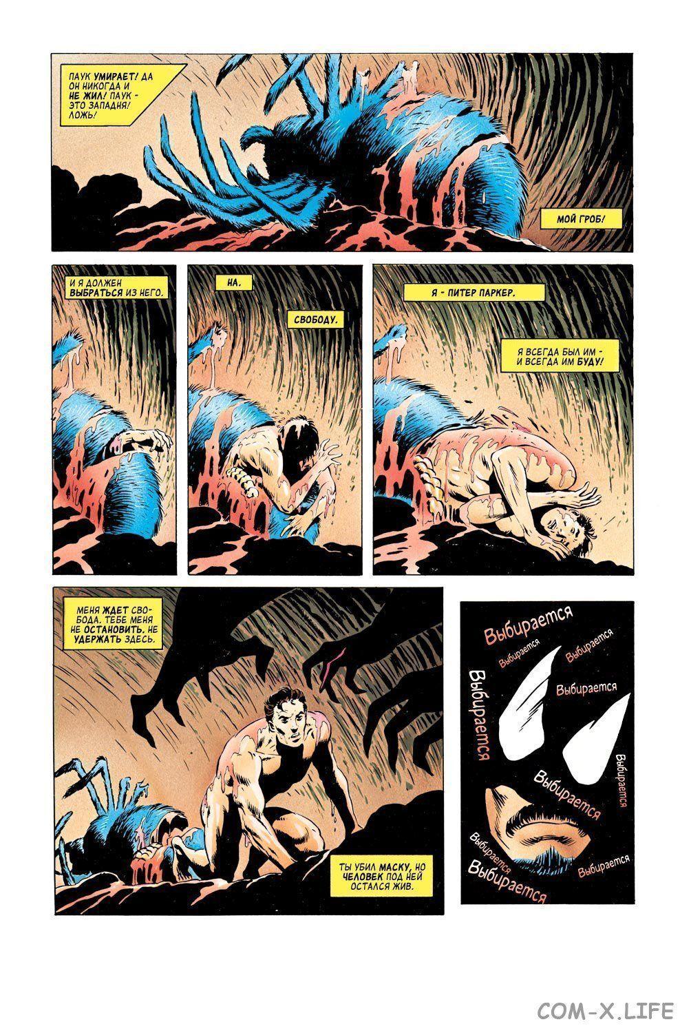 Read Web of Spider-Man Паутина человека-паука Manga Online